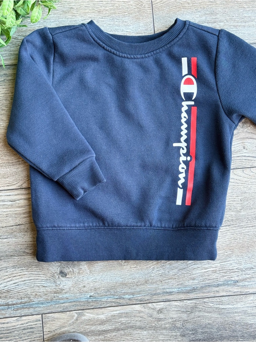Champion Kids Navy Crewneck Sweatshirt with Red & White Logo